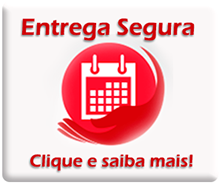Serviço de entrega BoyTime